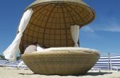 Cocoon Tree Beach