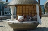 Cocoon Tree Beach